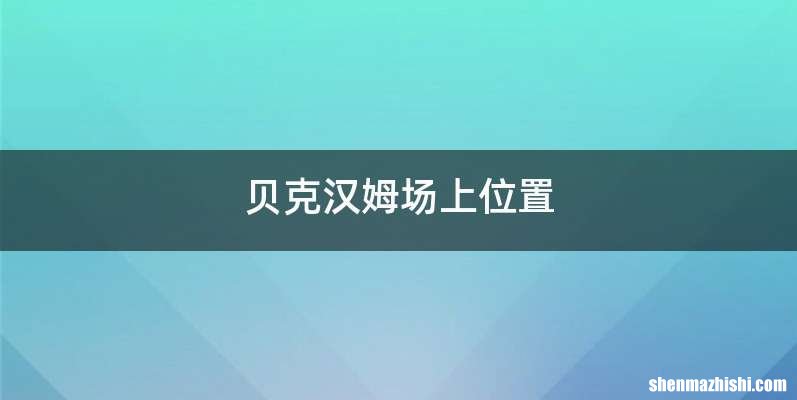 贝克汉姆场上位置