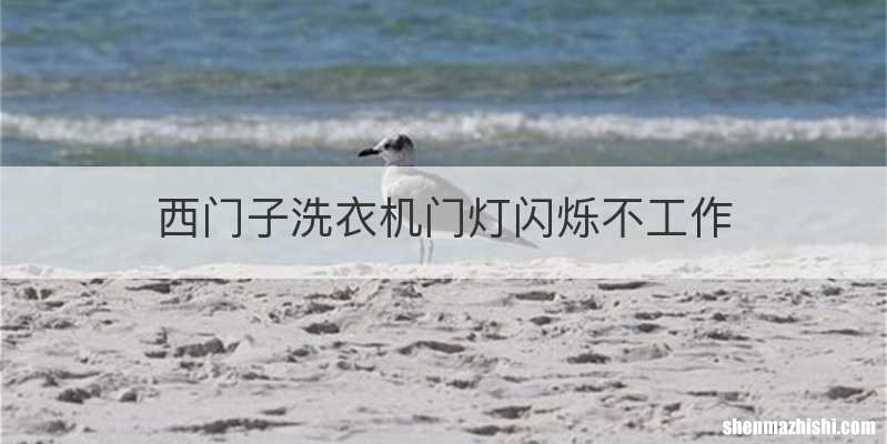 西门子洗衣机门灯闪烁不工作