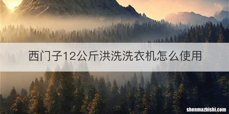 西门子12公斤洪洗洗衣机怎么使用