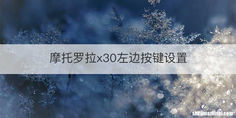 摩托罗拉x30左边按键设置