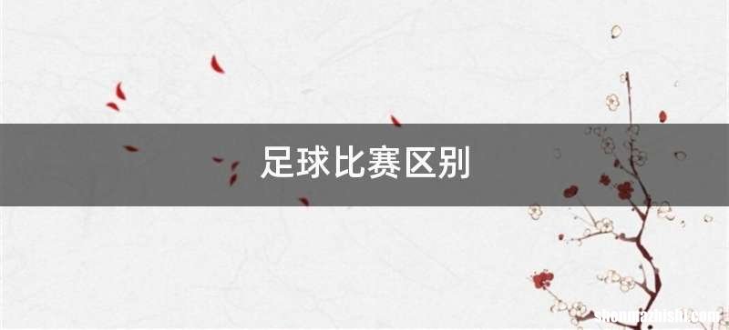 足球比赛区别