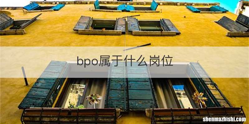 bpo属于什么岗位