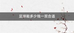 足球鞋多少钱一双合适