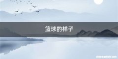 篮球的样子