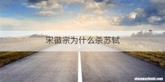 宋徽宗为什么杀苏轼