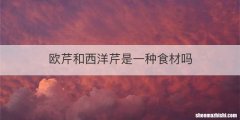 欧芹和西洋芹是一种食材吗