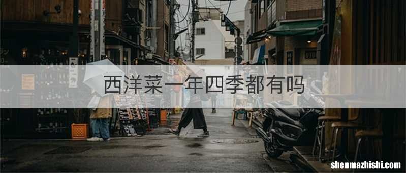 西洋菜一年四季都有吗