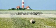 小太阳鹦鹉正常粪便颜色