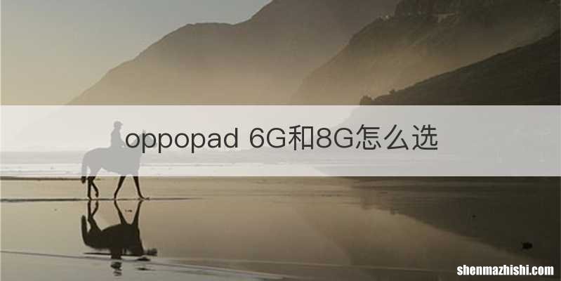 oppopad 6G和8G怎么选