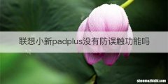 联想小新padplus没有防误触功能吗