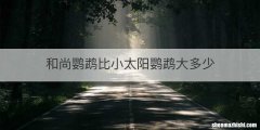 和尚鹦鹉比小太阳鹦鹉大多少
