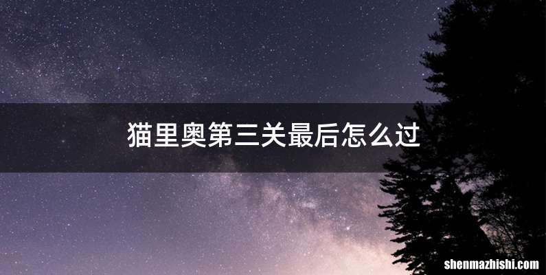 猫里奥第三关最后怎么过