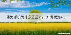 华为手机为什么总是2g一开机就变4g