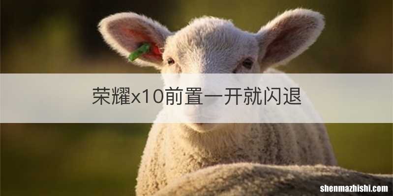 荣耀x10前置一开就闪退