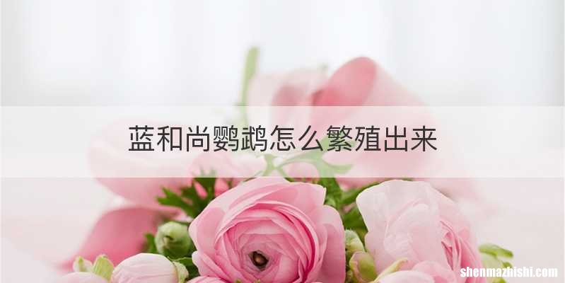 蓝和尚鹦鹉怎么繁殖出来