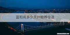 蓝和尚多少天开始养合适