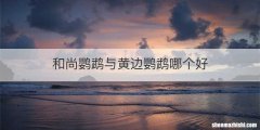 和尚鹦鹉与黄边鹦鹉哪个好