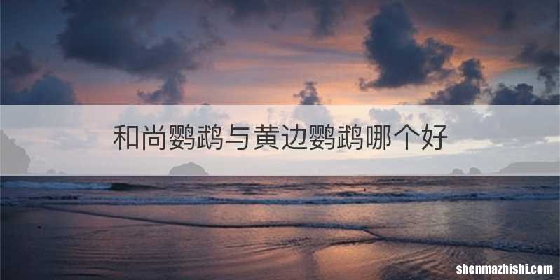 和尚鹦鹉与黄边鹦鹉哪个好