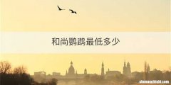 和尚鹦鹉最低多少