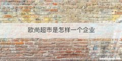 欧尚超市是怎样一个企业