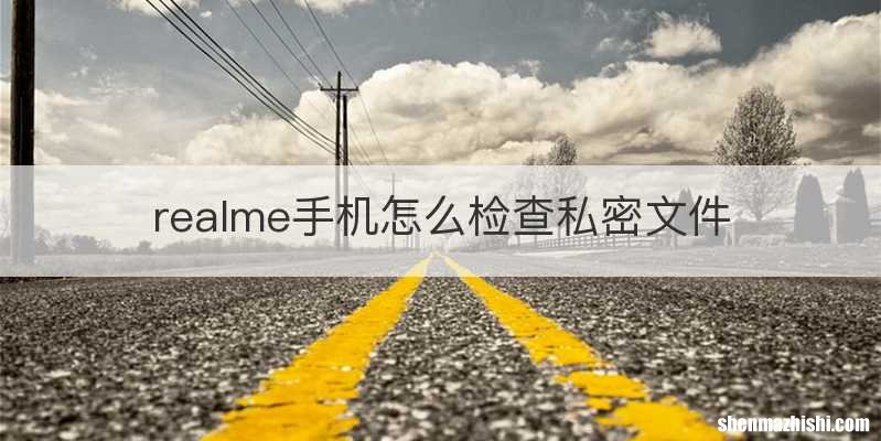 realme手机怎么检查私密文件