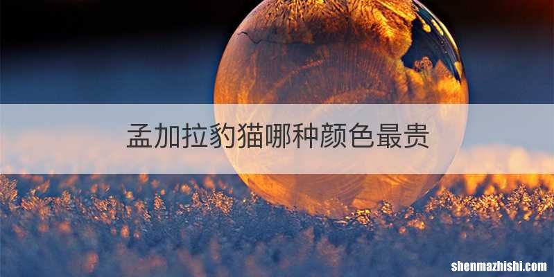孟加拉豹猫哪种颜色最贵