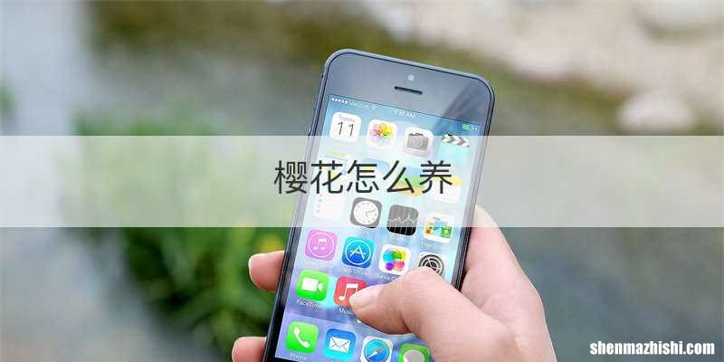 樱花怎么养