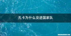 孔卡为什么没进国家队