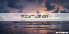 猫耳朵可以剪短吗