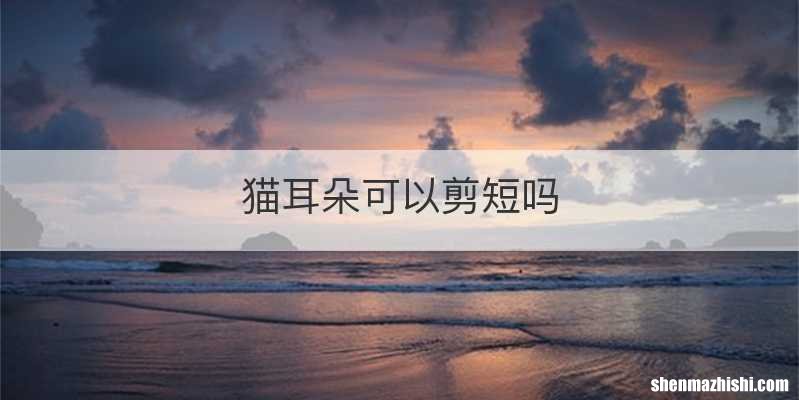 猫耳朵可以剪短吗