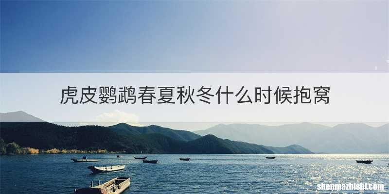 虎皮鹦鹉春夏秋冬什么时候抱窝