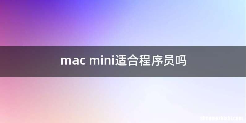 mac mini适合程序员吗