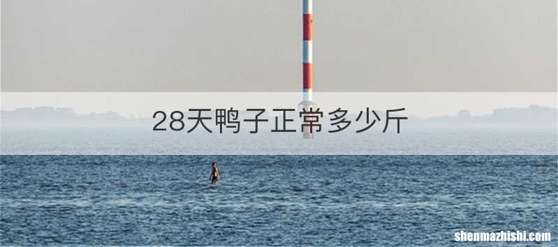 28天鸭子正常多少斤