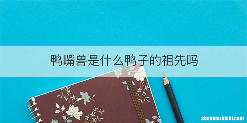 鸭嘴兽是什么鸭子的祖先吗