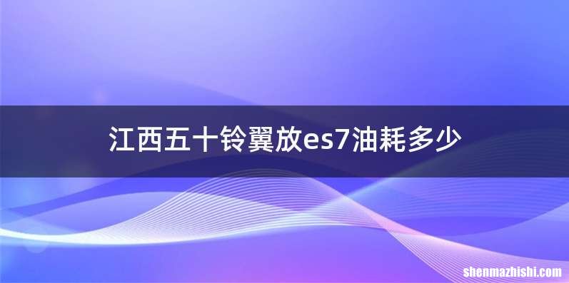 江西五十铃翼放es7油耗多少