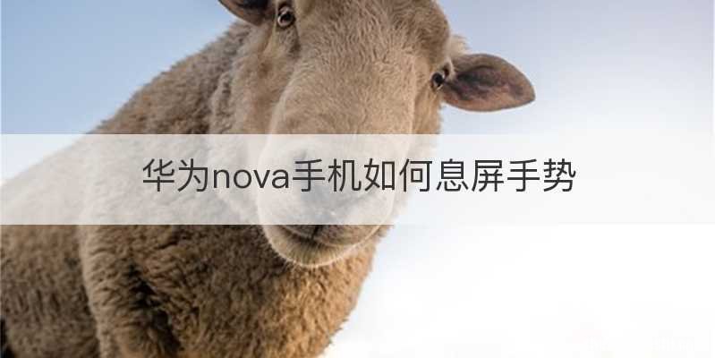 华为nova手机如何息屏手势