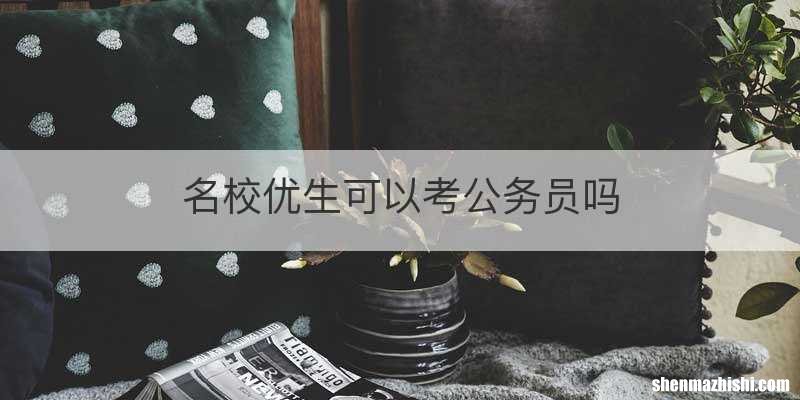 名校优生可以考公务员吗