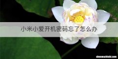小米小爱开机密码忘了怎么办