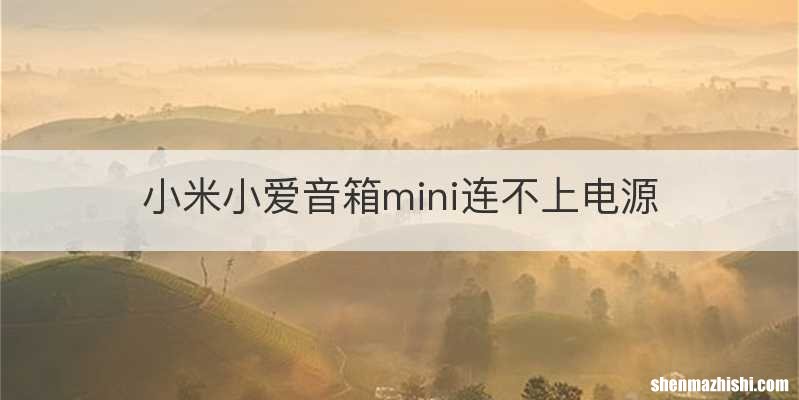 小米小爱音箱mini连不上电源