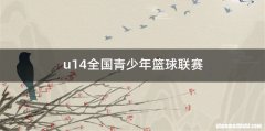 u14全国青少年篮球联赛