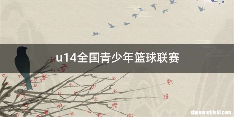 u14全国青少年篮球联赛