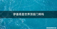 伊基塔是世界顶级门将吗