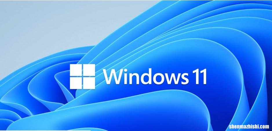 如何在Windows11上更改帐户类型