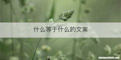 什么等于什么的文案