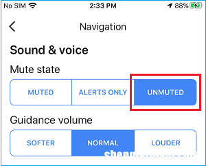 语音在iPhone上的Google地图中无法使用