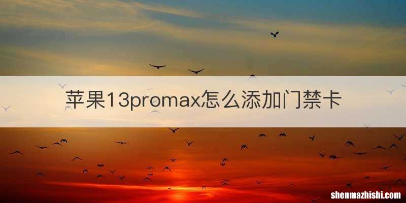 苹果13promax怎么添加门禁卡