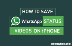如何在iPhone上保存WhatsApp状态视频