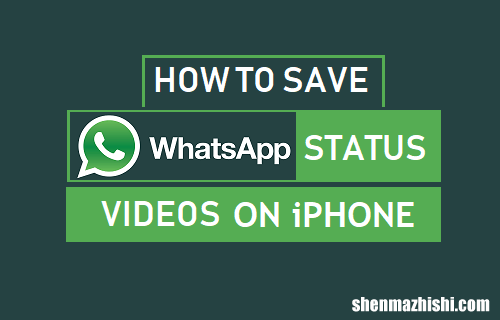 如何在iPhone上保存WhatsApp状态视频