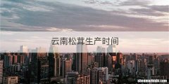 云南松茸生产时间