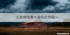 云南橄榄果十月份还有吗